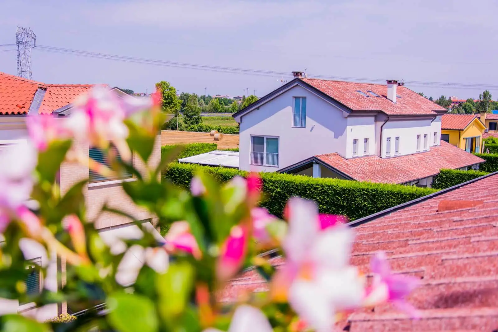 Giardino del B&B Alle Ortensie Albignasego