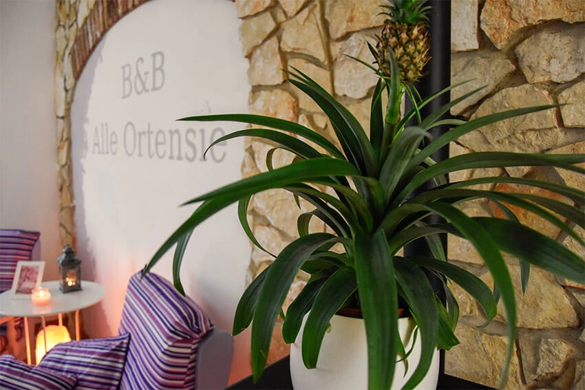 B&B Alle Ortensie - Dettaglio angolo relax